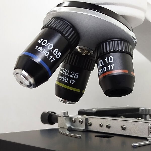 MİKROSKOP (600 Büyütme)