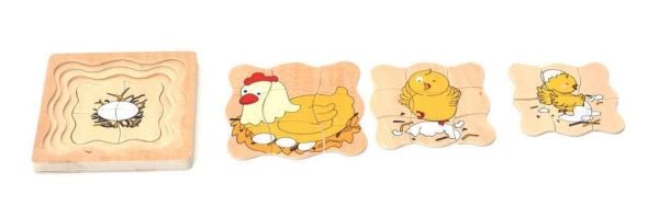 TAVUK GELİŞİM EVRELERİ PUZZLE